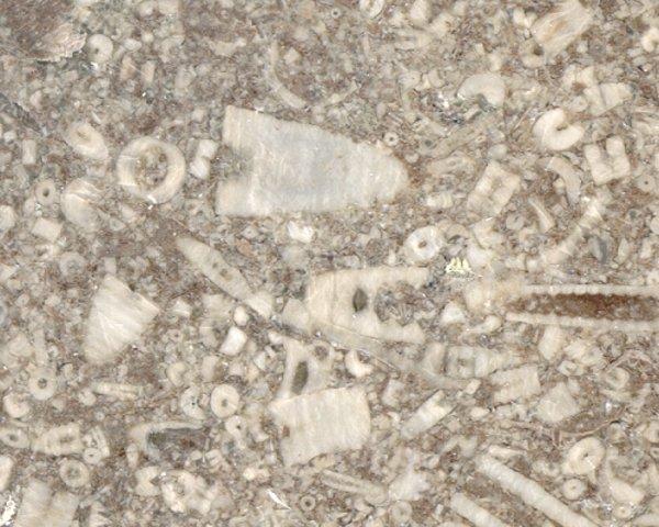 Limestone - nic.0451.tif