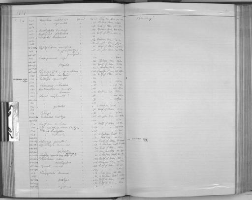 Glyptophidium longipes Norman, 1939 - Zoology Accessions Register: Fishes: 1937 - 1960: page 51