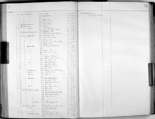 Zosterops senegalensis andersoni - Zoology Accessions Register: Aves (Skins): 1909 - 1911: page 72