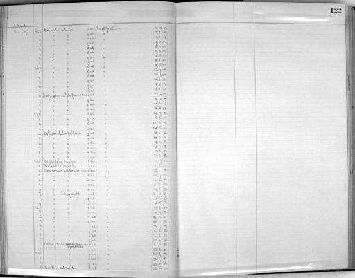 Saxicola torquata - Zoology Accessions Register: Aves (Skins): 1902 - 1904: page 122