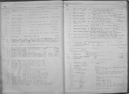 Diaphus mollis Tåning, 1928 - Zoology Accessions Register: Fishes: 1971 - 1985: page 167