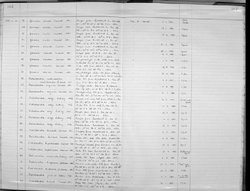 Sertularella anguina Vervoort, 1993 - Zoology Accessions Register: Coelenterata: 1981 - 1992: page 162