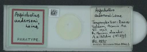 Aspidiotus andersoni Laing, 1929 - 010140187_117465_1097218
