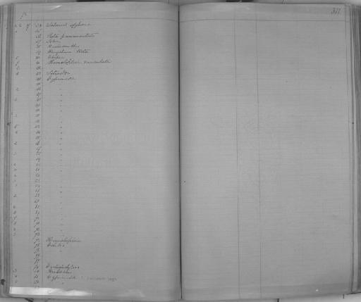 Cheilodactylus sp - Zoology Accessions Register: Reptiles & Fishes: 1864 - 1877: page 311