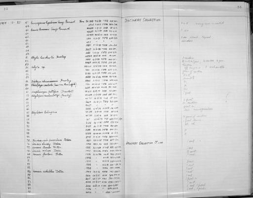 Zoology Accessions Register: Coelenterata: 1958 - 1964: page 55