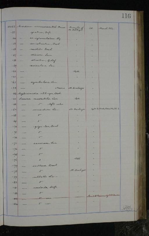 Protosphyraena ferox Leidy, 1857 - NHM-UK_P_DF118_02_02_0233