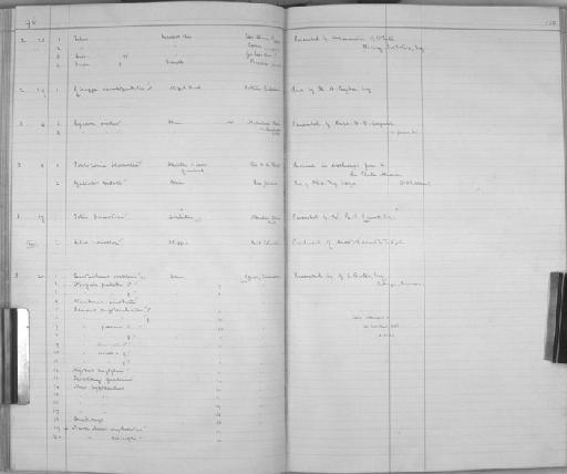 Sus Linnaeus, 1758 - Zoology Accessions Register: Mammals: 1891 - 1898: page 135