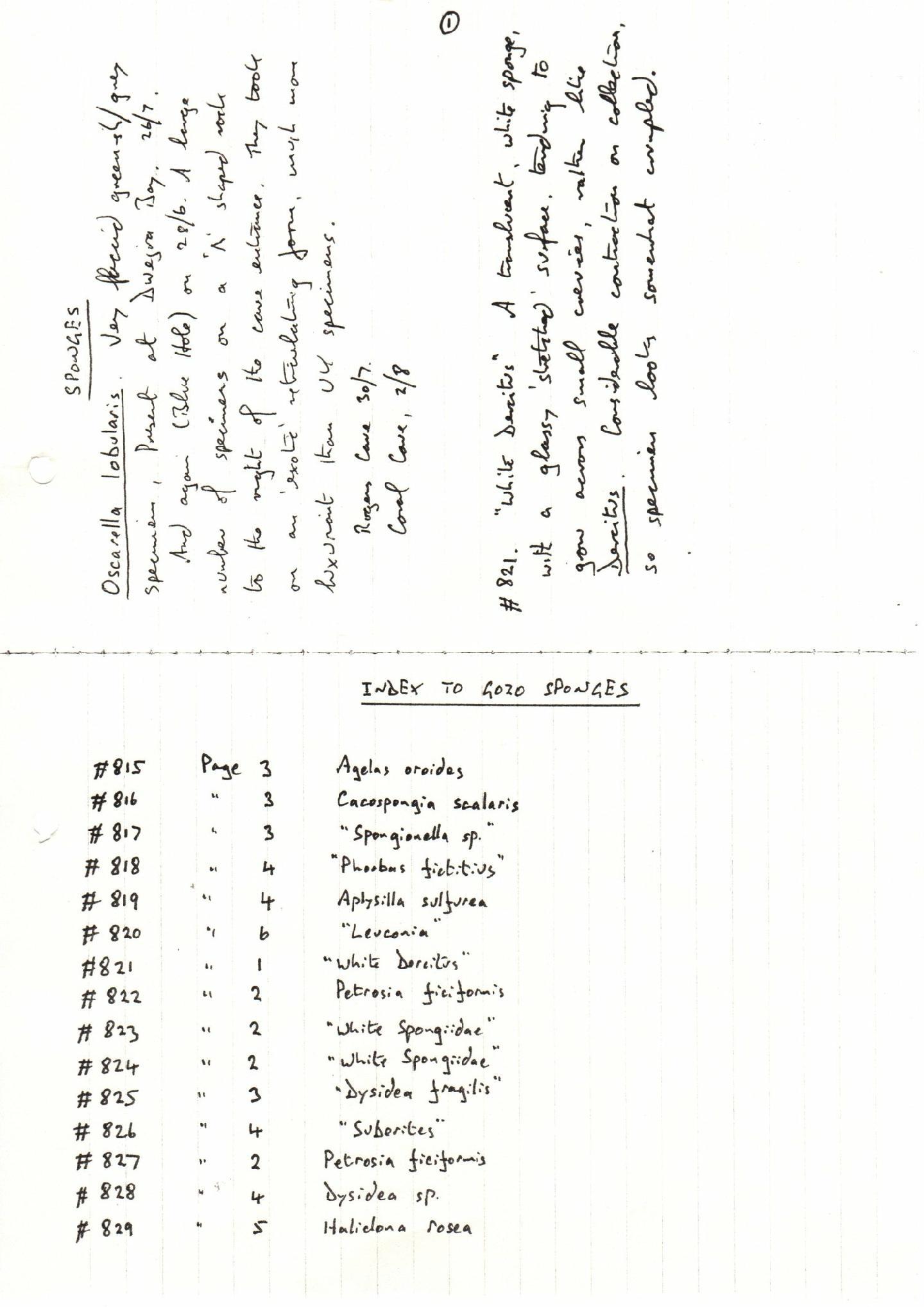 Phorbas fictitius