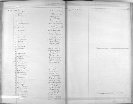 Rhipidura fuliginosa cervina - Zoology Accessions Register: Aves (Skins): 1880 -1884: page 71