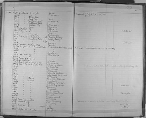 Cirratulus cirratus (Müller, 1776) - Zoology Accessions Register: Annelida & Echinoderms: 1884 - 1923: page 266