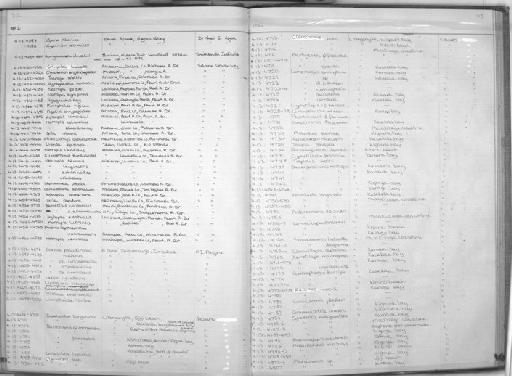 Lamprologus cunningtoni Boulenger, 1906 - Zoology Accessions Register: Fishes: 1971 - 1985: page 313