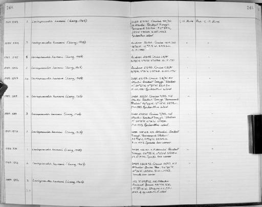 Leviapseudes hanseni (Lang, 1968) - Zoology Accessions Register: Crustacea: 1984 - 1991: page 264