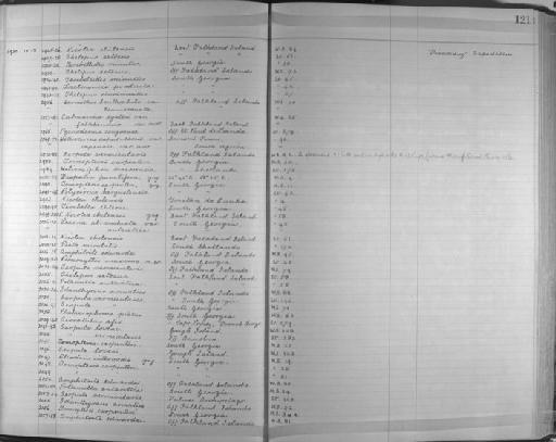 Leaena abranchiata antarctica McIntosh - Zoology Accessions Register: Annelida & Echinoderms: 1924 - 1936: page 121