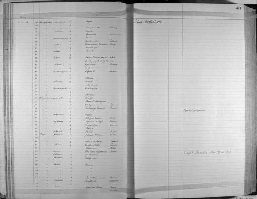 Dryocopus fuscipennis P. L. Sclater, 1860 - Zoology Accessions Register: Aves (Skins): 1888 -1892: page 40