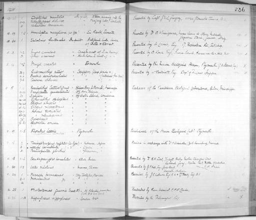 Gobius oceanicus Pallas, 1770 ex Gronovius - Zoology Accessions Register: Fishes: 1912 - 1936: page 236