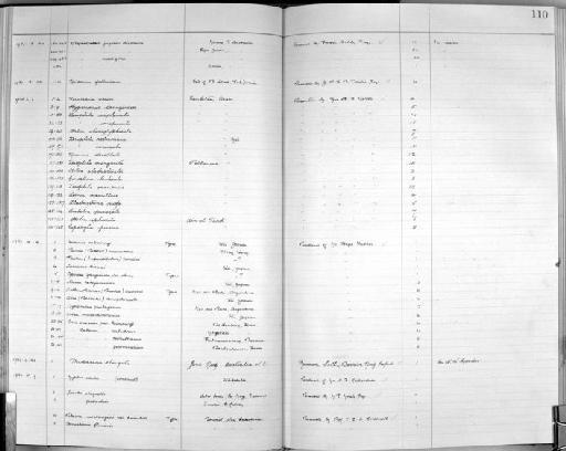 Xerophila explanata - Zoology Accessions Register: Mollusca: 1925 - 1937: page 110