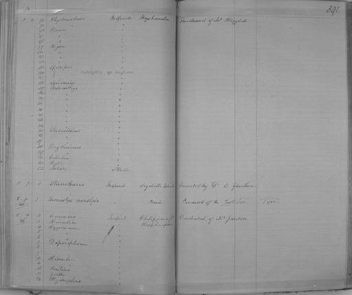 Farlowella oxyrryncha (Kner, 1853) - Zoology Accessions Register: Reptiles & Fishes: 1864 - 1877: page 391