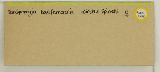 Forcipomyia basifemoralis Wirth & Spinelli - 014770131_additional