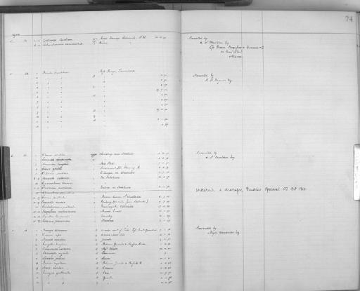 Hirundo senegalensis monteiri - Zoology Accessions Register: Aves (Skins): 1900 -1902: page 74