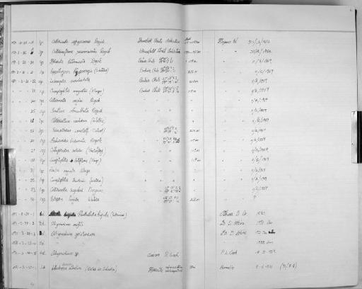 Flustra angusta Kluge, 1914 - Zoology Accessions Register: Bryozoa: 1971 - 1986: page 6