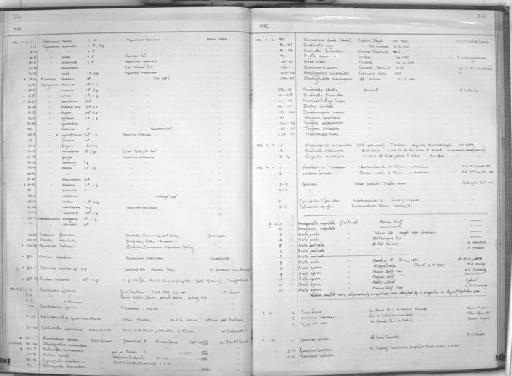 Thryssa hamiltoni Gray, 1835 - Zoology Accessions Register: Fishes: 1971 - 1985: page 325