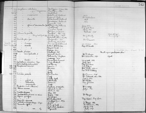 spinifera parvorder Caprellidira - Zoology Accessions Register: Crustacea - Norman Collection: 1911: page 242