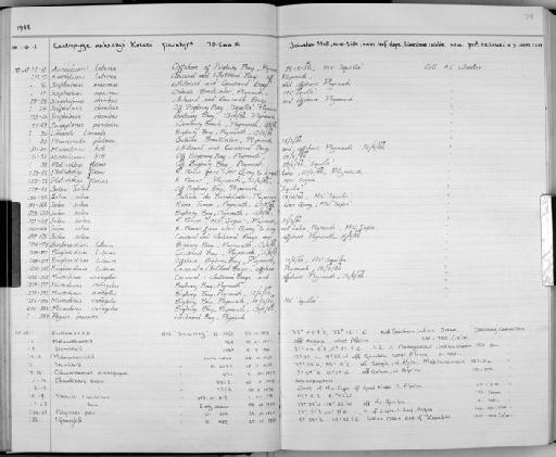 Stomias colubrinus Garman, 1899 - Zoology Accessions Register: Fishes: 1986 - 1994: page 79