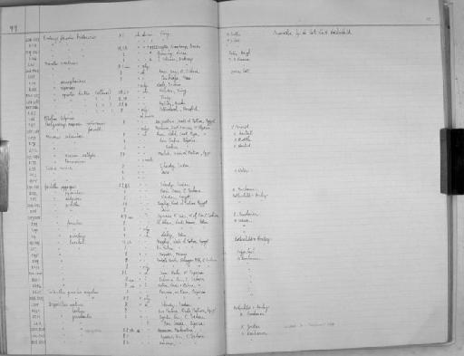 Gerbillus Desmarest, 1804 - Zoology Accessions Register: Mammals: 1937 - 1951: page 102