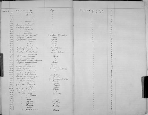 Clausilia celsa subterclass Tectipleura Gredler, 1892 - Zoology Accessions Register: Mollusca: 1900 - 1905: page 4