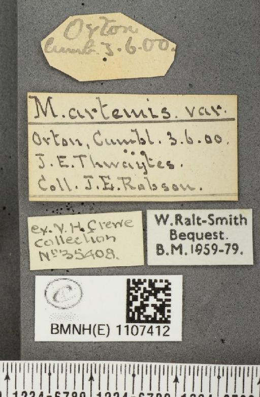 Euphydryas aurinia ab. suffusa Frohawk, 1938 - BMNHE_1107412_label_18718