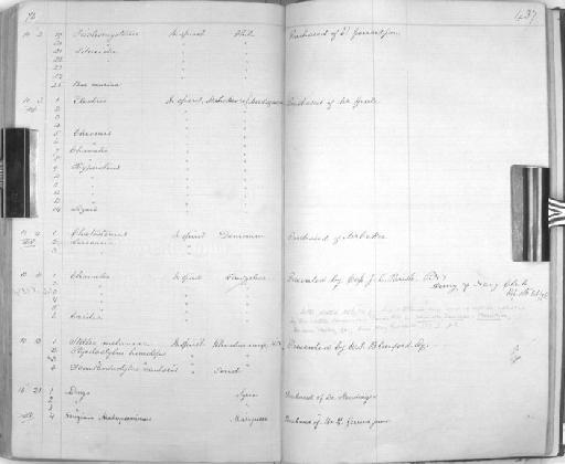 Loricaria cataphracta Linnaeus, 1758 - Zoology Accessions Register: Reptiles & Fishes: 1864 - 1877: page 437