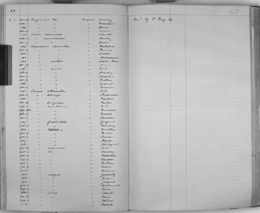 Clupea scombrina - Zoology Accessions Register: Reptiles & Fishes: 1878 - 1892: page 279