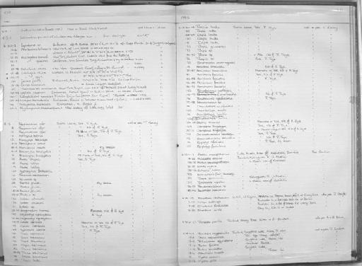 Lepophidium emmelas - Zoology Accessions Register: Fishes: 1971 - 1985: page 421