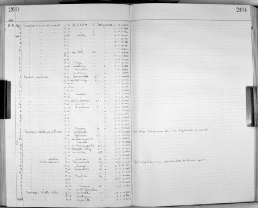 Neomixis striatigula pallidior Salomonsen, 1934 - Zoology Accessions Register: Aves (Skins): 1929 -1932: page 200