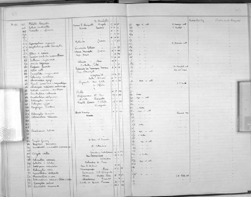 Carduelis carduelis parva Tschusi, 1901 - Zoology Accessions Register: Aves (Nest): 1959 - : page 56