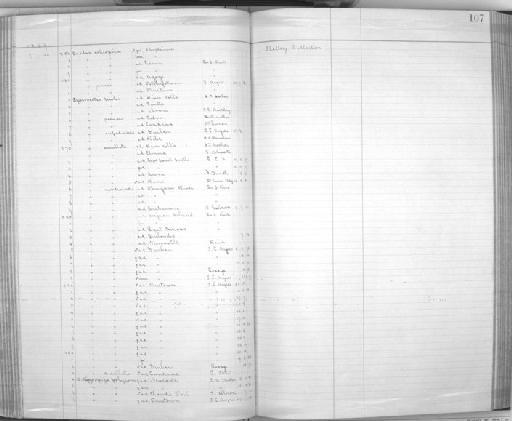 Quelea quelea lathami - Zoology Accessions Register: Aves (Skins): 1888 -1892: page 107