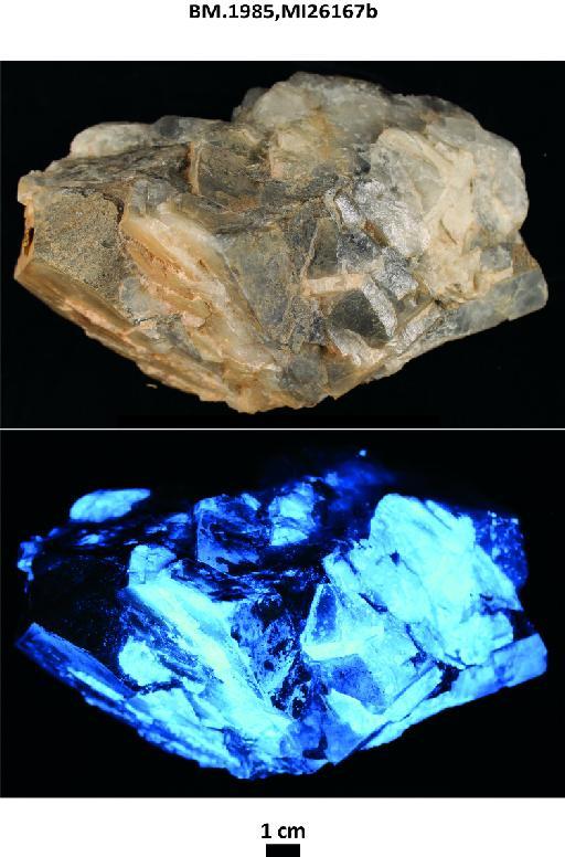 Scheelite with fluorite - BM.1985,MI26167b photographs