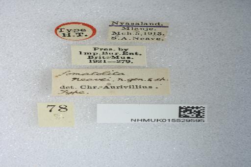 Somatolita neavei Aurivillius, 1915 - Somatolita neavei Aurivillius, 1915; Holotype; NHMUK015529595; Labels