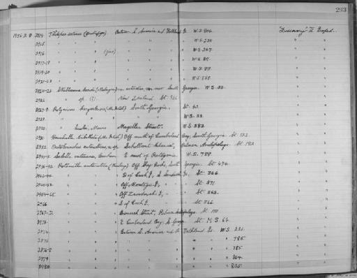 Streblosoma bairdi antarctica - Zoology Accessions Register: Annelida & Echinoderms: 1924 - 1936: page 293