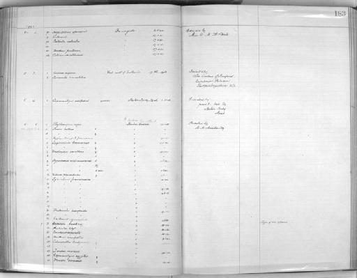 Cisticola cisticola annae R. Meinertzhagen,  1922 - Zoology Accessions Register: Aves (Skins): 1902 - 1904: page 183