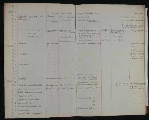 Crania transversa Davidson - NHM-UK_P_DF118_05_03_0005