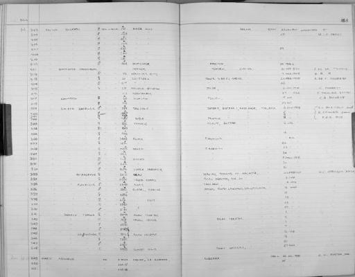 Leopoldamys sabanus Thomas, 1887 - Zoology Accessions Register: Mammals: 1965 - 1966: page 168