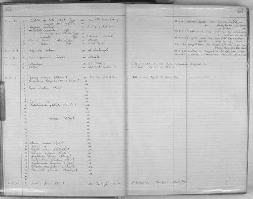 Cladorhiza Sars, 1872 - Zoology Accessions Register: Spongiida: 1929 - 1938: page 43