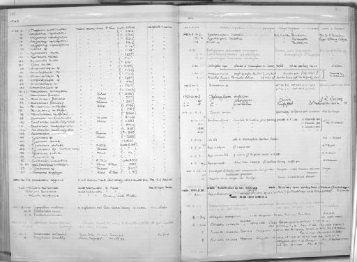 Lethrinops parvus MS? - Zoology Accessions Register: Fishes: 1971 - 1985: page 341