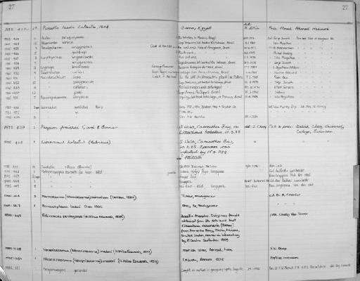 Palaemonetes ivonicus - Zoology Accessions Register: Crustacea: 1984 - 1991: page 27