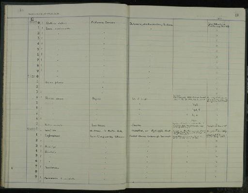 Brotia melanioides (J. Sowerby, 1816) - NHM-UK_P_DF118_06_58_0021