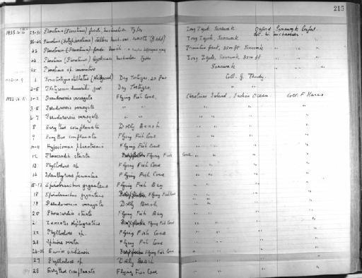 Pheretima fordi Michaelsen - Zoology Accessions Register: Annelida & Echinoderms: 1924 - 1936: page 215