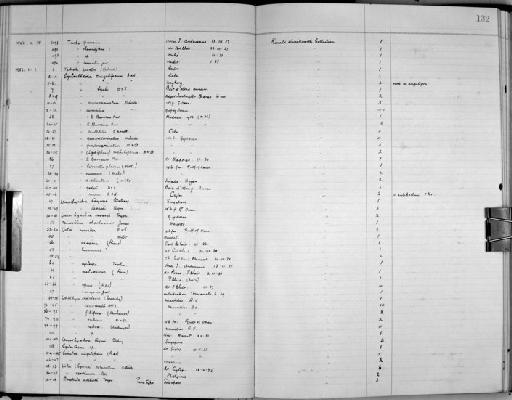 Cyclostrema cinguliferum A. Adams, 1850 - Zoology Accessions Register: Mollusca: 1938 - 1955: page 132