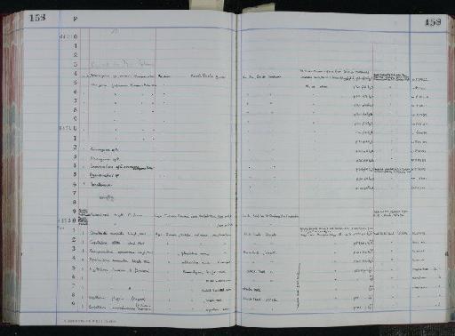 Conorboides marginata Lloyd, 1962 - NHM-UK_P_DF118_04_06_0317