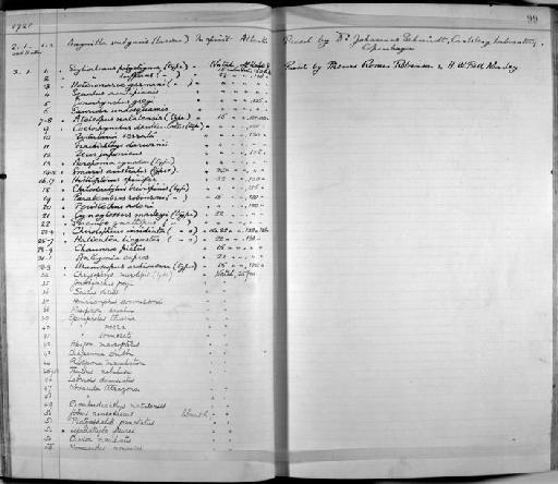 Chirolophius insidiator Regan, 1921 - Zoology Accessions Register: Fishes: 1912 - 1936: page 99